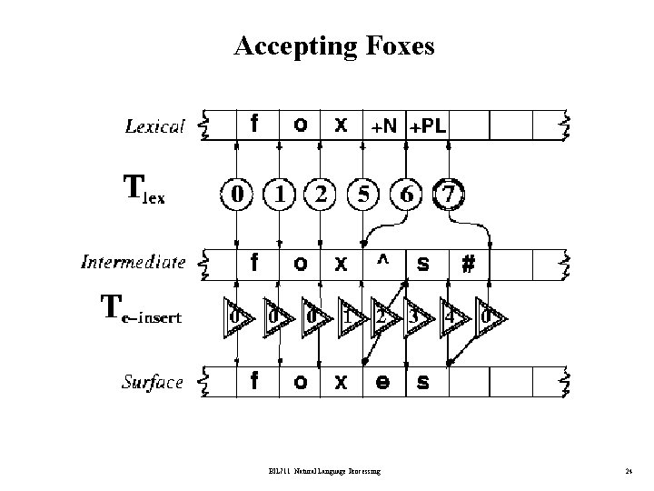 Accepting Foxes BİL 711 Natural Language Processing 24 
