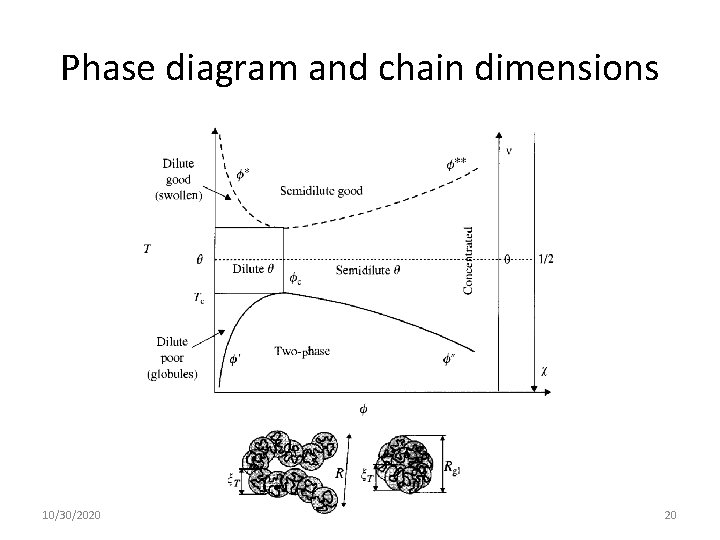 Phase diagram and chain dimensions 10/30/2020 20 Phase diagram and chain dimensions 10/30/2020 20