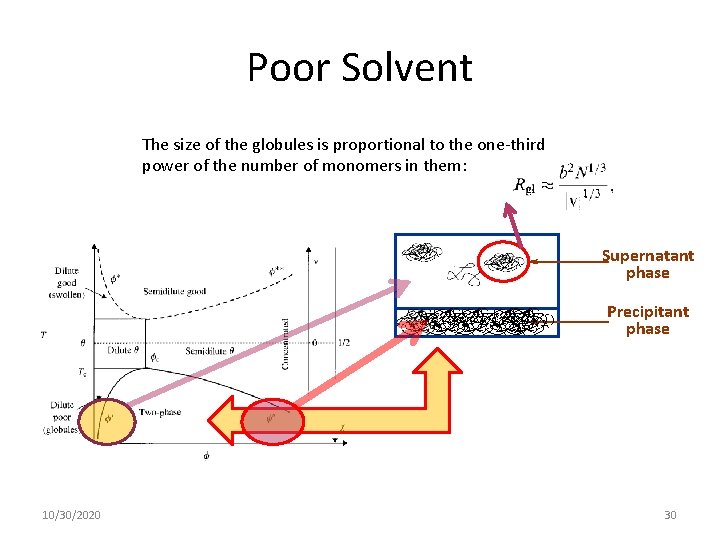 Poor Solvent The size of the globules is proportional to the one-third power of Poor Solvent The size of the globules is proportional to the one-third power of