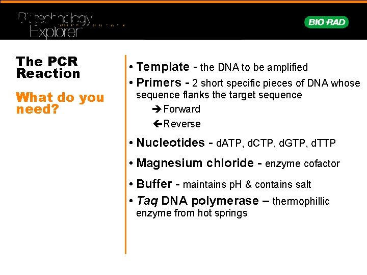 What is needed for PCR? The PCR Reaction What do you need? • Template
