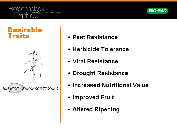 Desirable Traits • Pest Resistance • Herbicide Tolerance • Viral Resistance • Drought Resistance