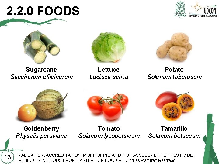 2. 2. 0 FOODS Sugarcane Saccharum officinarum Lettuce Lactuca sativa Potato Solanum tuberosum Goldenberry