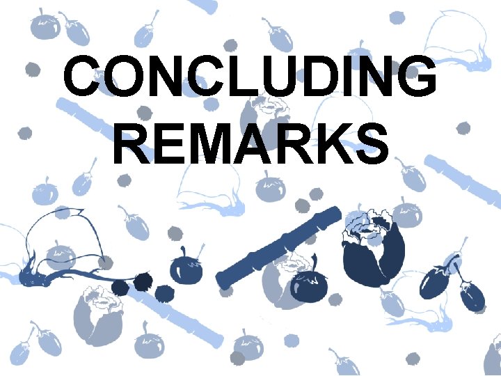 CONCLUDING REMARKS 