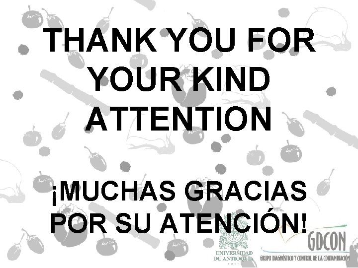 THANK YOU FOR YOUR KIND ATTENTION ¡MUCHAS GRACIAS POR SU ATENCIÓN! 