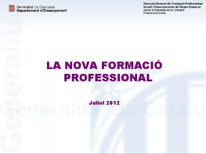 LA NOVA FORMACIÓ PROFESSIONAL Juliol 2012 