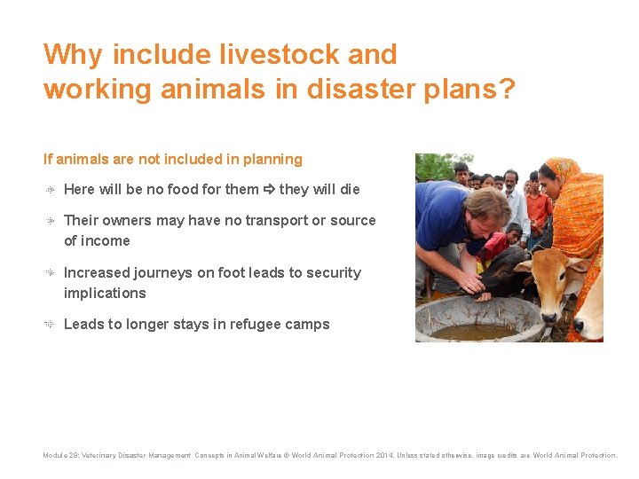 Why include livestock and working animals in disaster plans? If animals are not included Why include livestock and working animals in disaster plans? If animals are not included