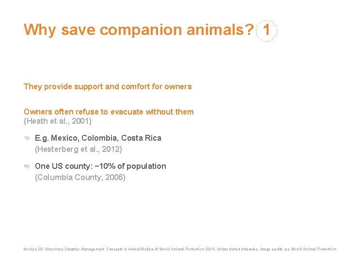 Why save companion animals? 1 They provide support and comfort for owners Owners often Why save companion animals? 1 They provide support and comfort for owners Owners often