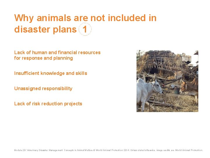 Why animals are not included in disaster plans 1 Lack of human and financial Why animals are not included in disaster plans 1 Lack of human and financial