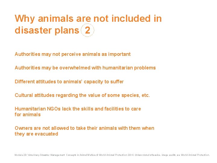 Why animals are not included in disaster plans 2 Authorities may not perceive animals Why animals are not included in disaster plans 2 Authorities may not perceive animals