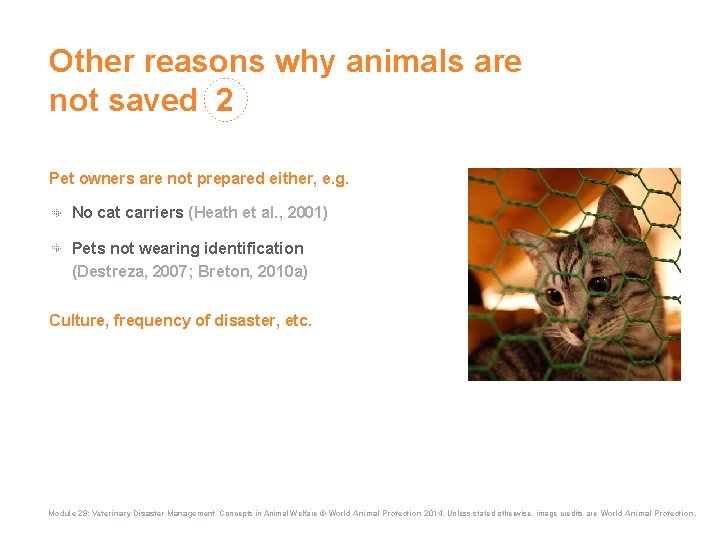 Other reasons why animals are not saved 2 Pet owners are not prepared either, Other reasons why animals are not saved 2 Pet owners are not prepared either,