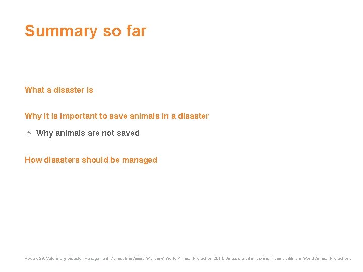 Summary so far What a disaster is Why it is important to save animals Summary so far What a disaster is Why it is important to save animals