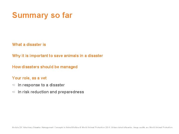Summary so far What a disaster is Why it is important to save animals Summary so far What a disaster is Why it is important to save animals