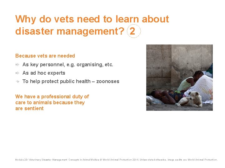 Why do vets need to learn about disaster management? 2 Because vets are needed Why do vets need to learn about disaster management? 2 Because vets are needed