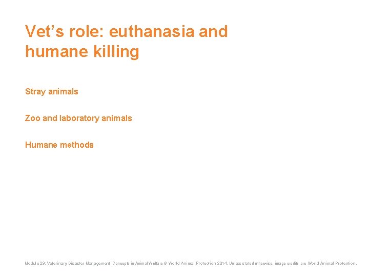 Vet’s role: euthanasia and humane killing Stray animals Zoo and laboratory animals Humane methods Vet’s role: euthanasia and humane killing Stray animals Zoo and laboratory animals Humane methods