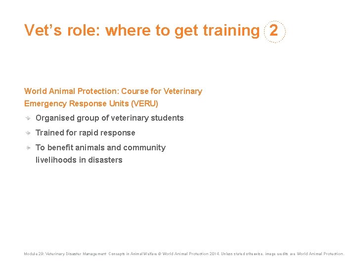 Vet’s role: where to get training 2 World Animal Protection: Course for Veterinary Emergency Vet’s role: where to get training 2 World Animal Protection: Course for Veterinary Emergency