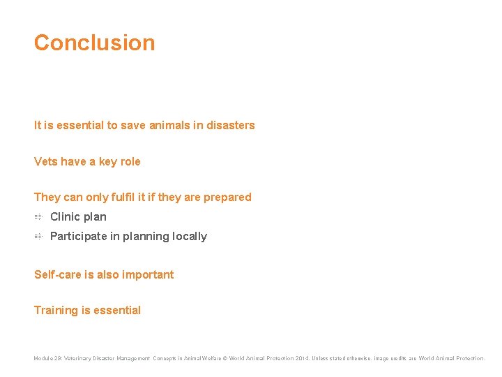 Conclusion It is essential to save animals in disasters Vets have a key role Conclusion It is essential to save animals in disasters Vets have a key role