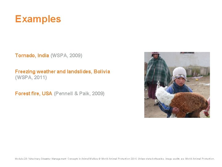 Examples Tornado, India (WSPA, 2009) Freezing weather and landslides, Bolivia (WSPA, 2011) Forest fire, Examples Tornado, India (WSPA, 2009) Freezing weather and landslides, Bolivia (WSPA, 2011) Forest fire,