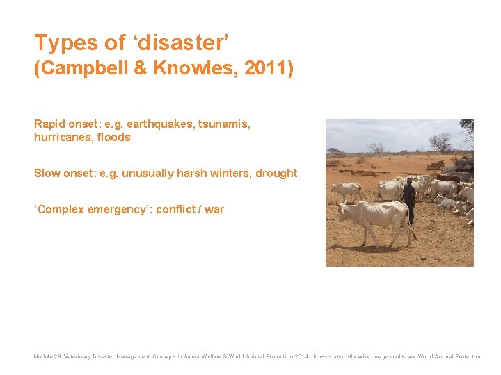 Types of ‘disaster’ (Campbell & Knowles, 2011) Rapid onset: e. g. earthquakes, tsunamis, hurricanes, Types of ‘disaster’ (Campbell & Knowles, 2011) Rapid onset: e. g. earthquakes, tsunamis, hurricanes,