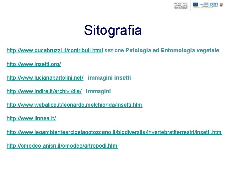 Sitografia http: //www. ducabruzzi. it/contributi. html sezione Patologia ed Entomologia vegetale http: //www. insetti.