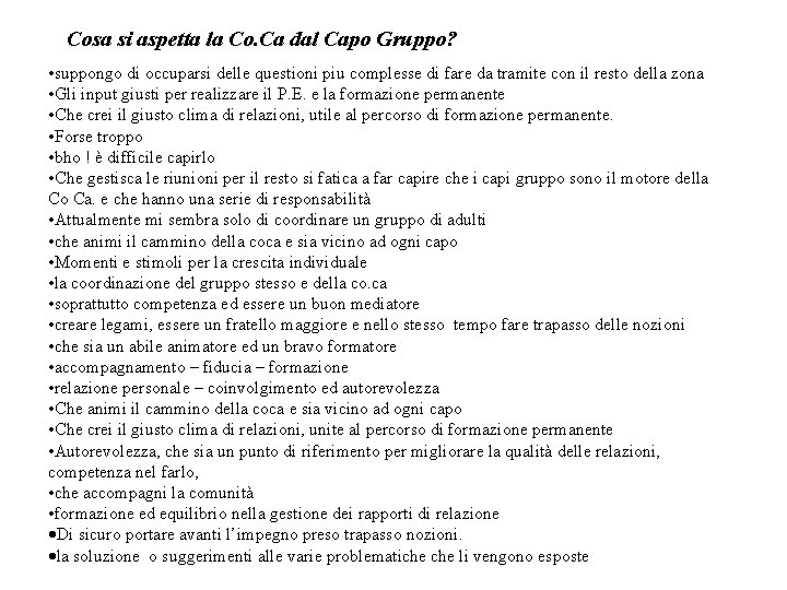 Cosa si aspetta la Co. Ca dal Capo Gruppo? • suppongo di occuparsi delle