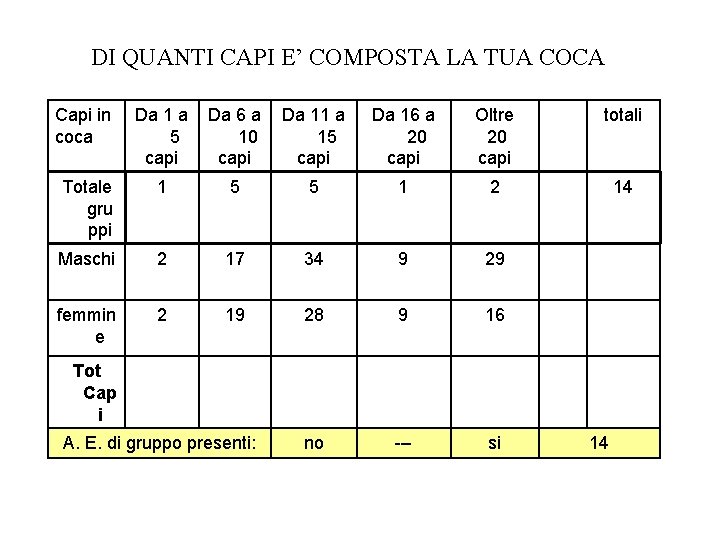 DI QUANTI CAPI E’ COMPOSTA LA TUA COCA Capi in coca Da 1 a