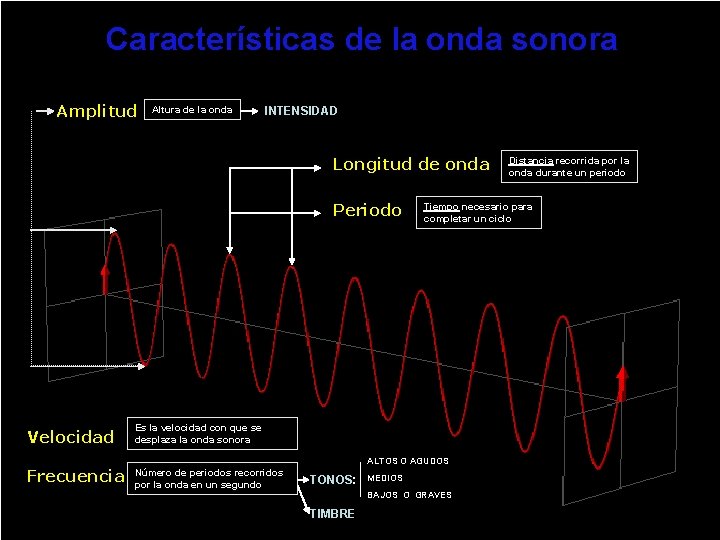 Características de la onda sonora Amplitud Altura de la onda INTENSIDAD Longitud de onda