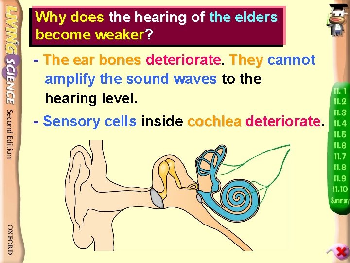 Why does the hearing of the elders become weaker? - The ear bones deteriorate.