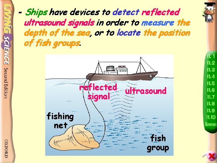 - Ships have devices to detect reflected ultrasound signals in order to measure the