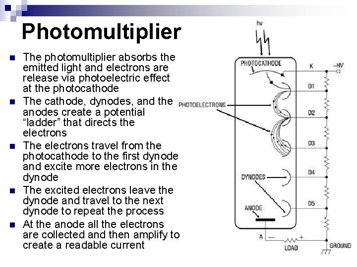 Photomultiplier n n n The photomultiplier absorbs the emitted light and electrons are release