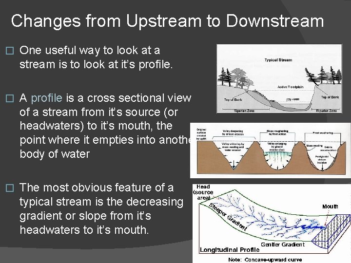 Changes from Upstream to Downstream � One useful way to look at a stream