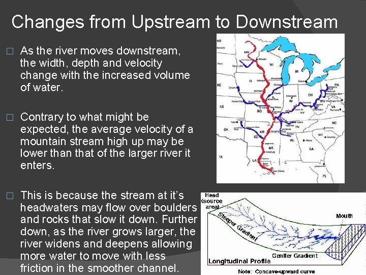 Changes from Upstream to Downstream � As the river moves downstream, the width, depth