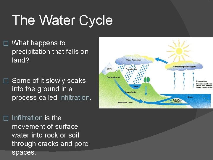 The Water Cycle � What happens to precipitation that falls on land? � Some