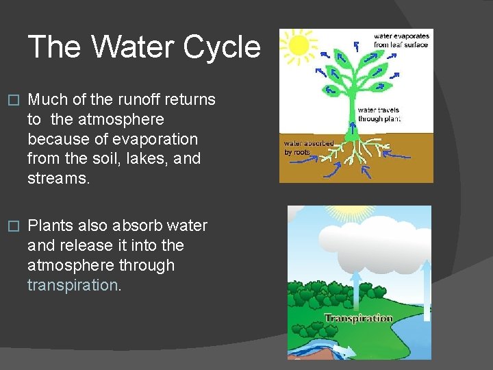 The Water Cycle � Much of the runoff returns to the atmosphere because of