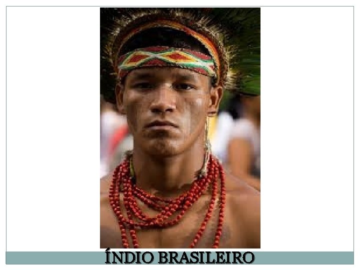 ÍNDIO BRASILEIRO 