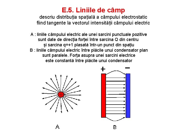 E. 5. Liniile de câmp descriu distribuția spațială a câmpului electrostatic fiind tangente la
