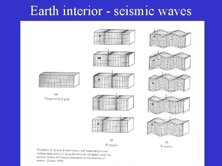 Earth interior - seismic waves 