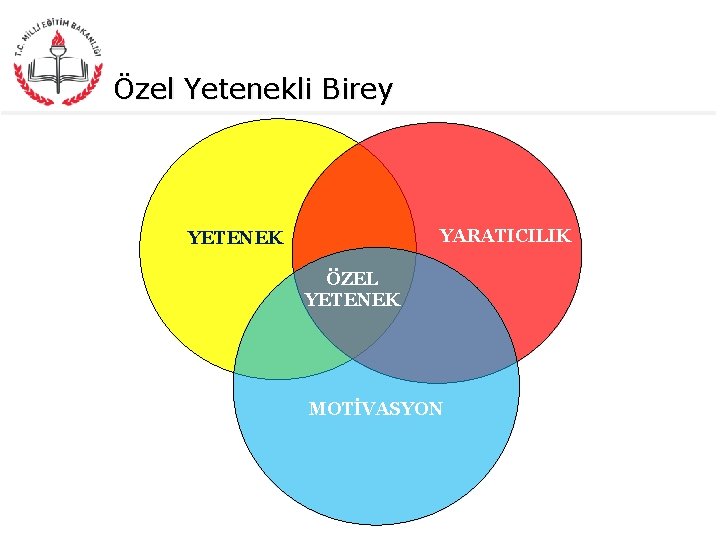 Özel Yetenekli Birey YARATICILIK YETENEK ÖZEL YETENEK MOTİVASYON 4 