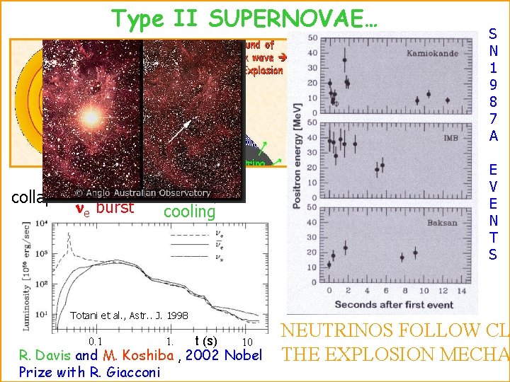 Type II SUPERNOVAE… collapse ne burst E V E N T S cooling Totani