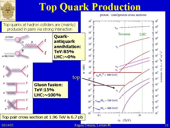 Top Quark Production Top quarks at hadron colliders are (mainly) produced in pairs via Top Quark Production Top quarks at hadron colliders are (mainly) produced in pairs via