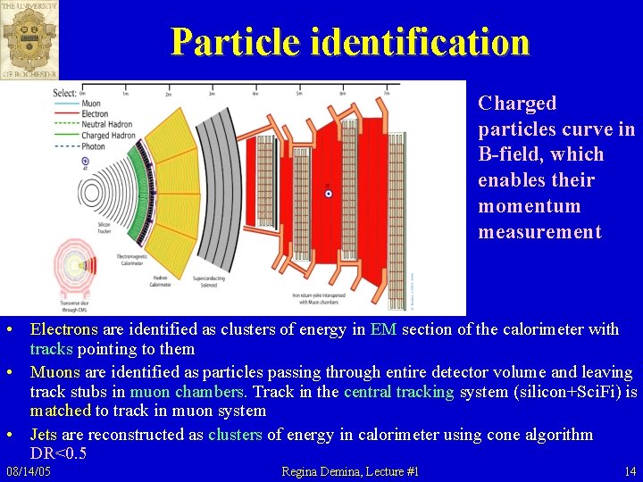 Particle identification Charged particles curve in B-field, which enables their momentum measurement • Electrons Particle identification Charged particles curve in B-field, which enables their momentum measurement • Electrons