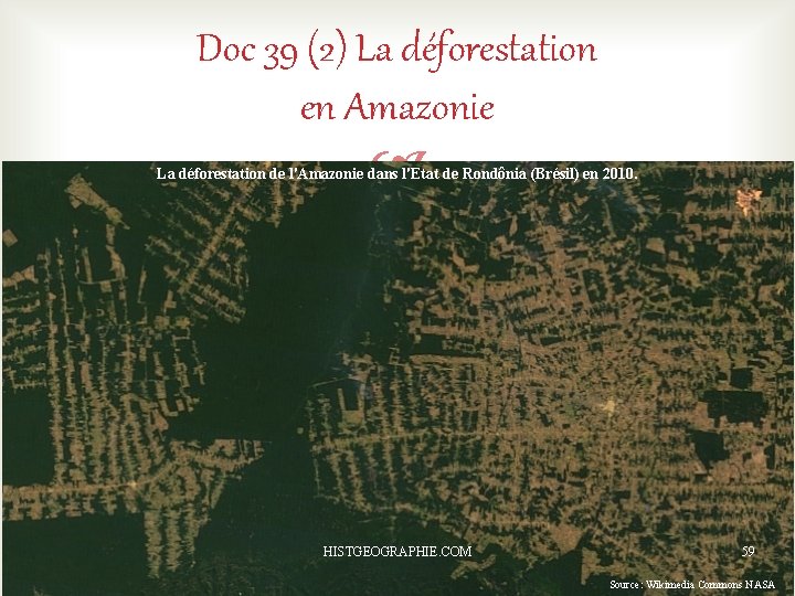 Doc 39 (2) La déforestation en Amazonie La déforestation de l'Amazonie dans l'Etat de Doc 39 (2) La déforestation en Amazonie La déforestation de l'Amazonie dans l'Etat de