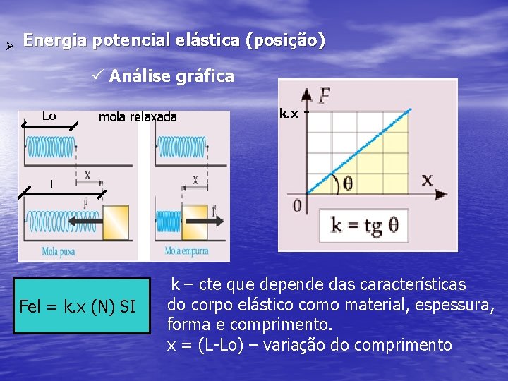 Ø Energia potencial elástica (posição) ü Análise gráfica Lo mola relaxada k. x -