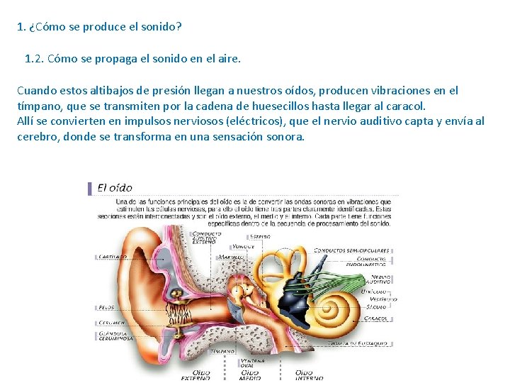 1. ¿Cómo se produce el sonido? 1. 2. Cómo se propaga el sonido en 1. ¿Cómo se produce el sonido? 1. 2. Cómo se propaga el sonido en