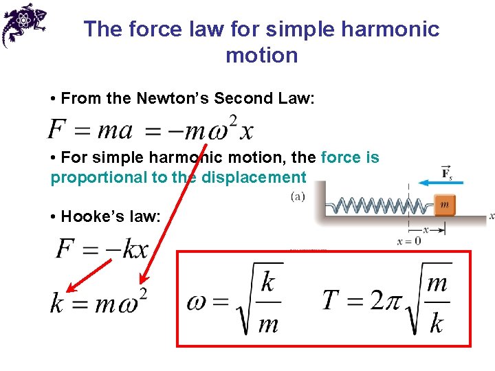 The force law for simple harmonic motion • From the Newton’s Second Law: • The force law for simple harmonic motion • From the Newton’s Second Law: •