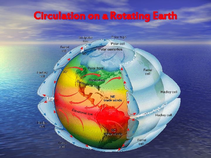Circulation on a Rotating Earth 