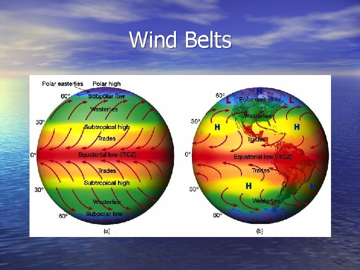 Wind Belts 