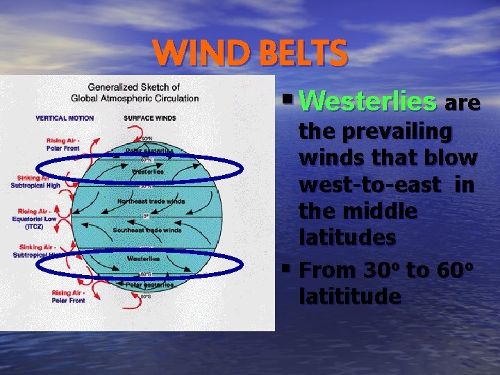 WIND BELTS § Westerlies are the prevailing winds that blow west-to-east in the middle