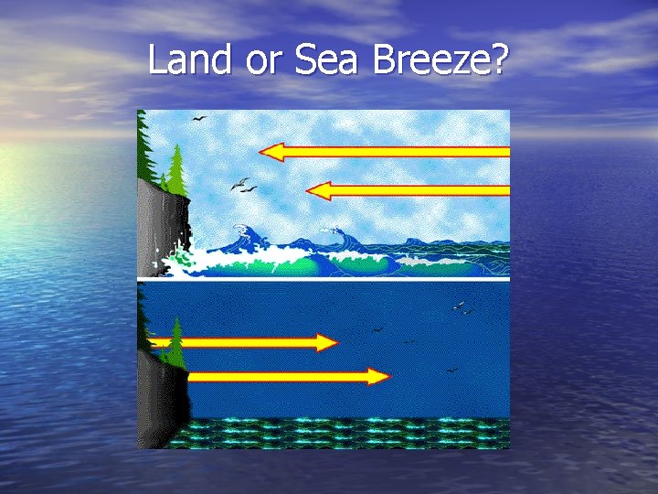 Land or Sea Breeze? 