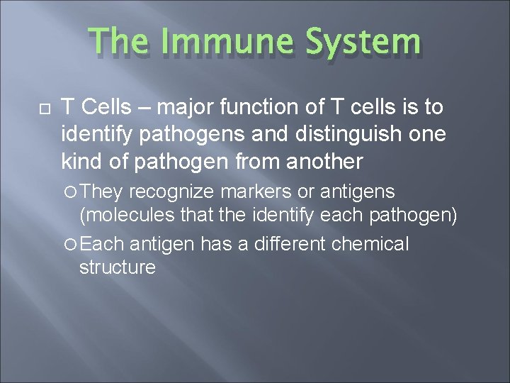 The Immune System T Cells – major function of T cells is to identify