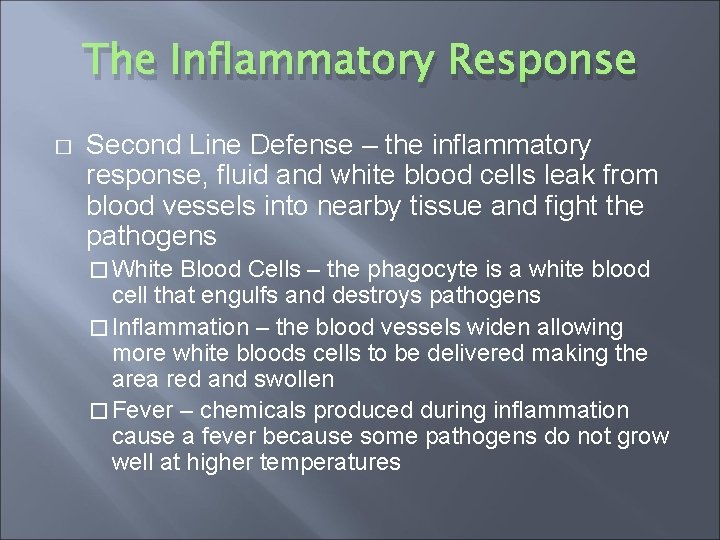 The Inflammatory Response � Second Line Defense – the inflammatory response, fluid and white